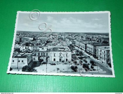 Cartolina Cerignola - Panorama parziale 1955