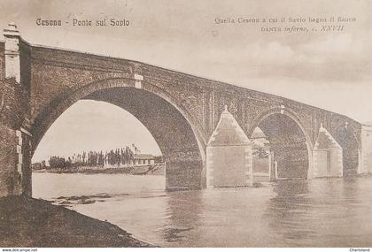 Cartolina - Cesena - Ponte sul Savio - 1921