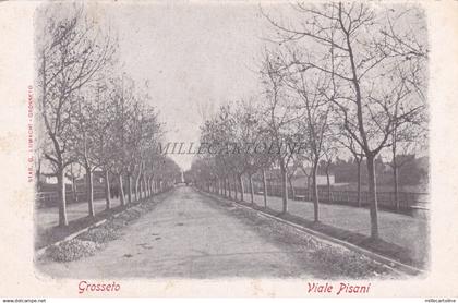 GROSSETO - Viale Pisani