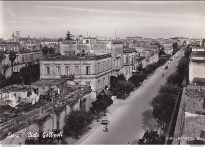 # LECCE: VIALE GALLIPOLI  (3)