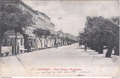 LIVORNO - Viale Regina Margherita