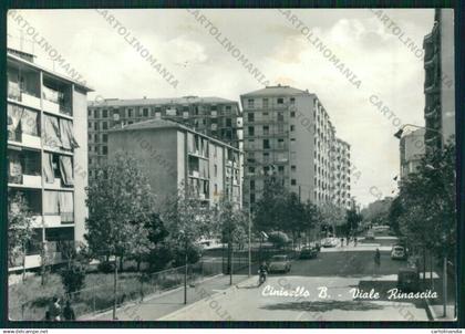 Milano Cinisello Balsamo Foto FG cartolina ZK1730