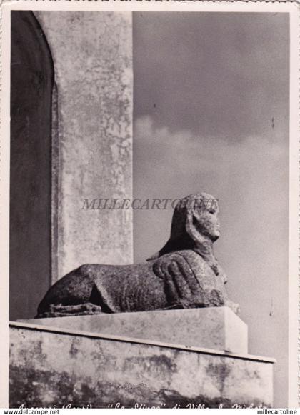 ANACAPRI - CAPRI - "La Sfinge" di Villa S.Michele