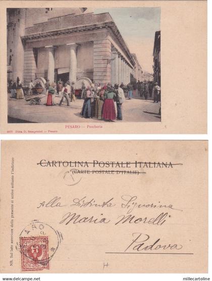 PESARO: Pescheria   1902