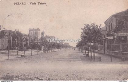 PESARO - Viale Trieste  1916