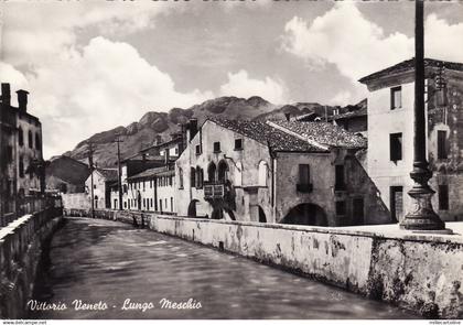 #VITTORIO VENETO: LUNGO MESCHIO