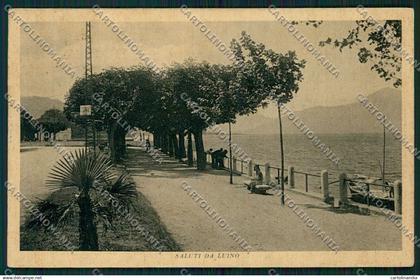 Varese Luino cartolina QK1923