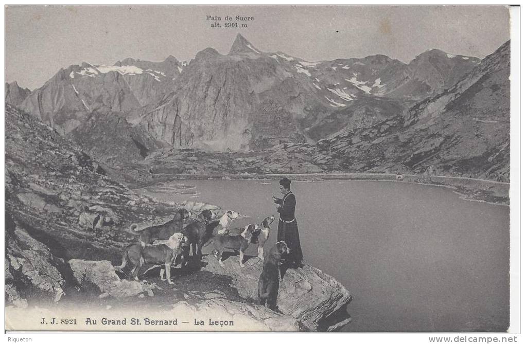 ITALIE - GRAND ST BERNARD  - VAL D´ AOSTE -  FRERE DE St BERNARD  DONNANT LA LECON  -TB .