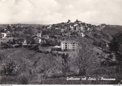 GALLICANO NEL LAZIO: Panorama (2)   1960