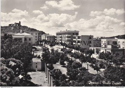 FERMO:  Viale Trento    1957