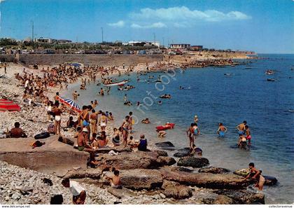 Cartolina Bisceglie Spiaggia Animata 1980 (Bari)
