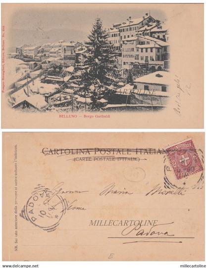 BELLUNO: Borgo Garibaldi   1900