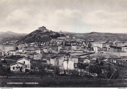 CAMPOBASSO: Panorama    1952