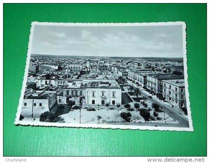 Cartolina Cerignola - Panorama parziale 1955