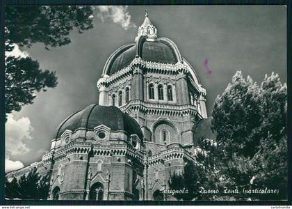Foggia Cerignola Duomo Foto FG cartolina MZ4933