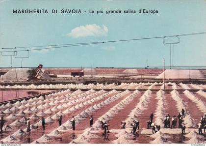 # MARGHERITA DI SAVOIA: LA PIU' GRANDE SALINA D'EUROPA