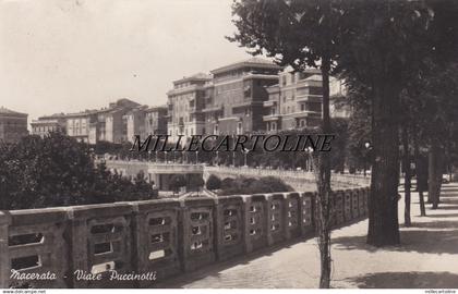 MACERATA:  Viale Puccinotti