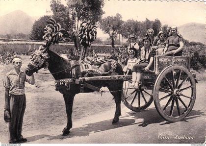 #MESSINA: CARRO SICILIANO