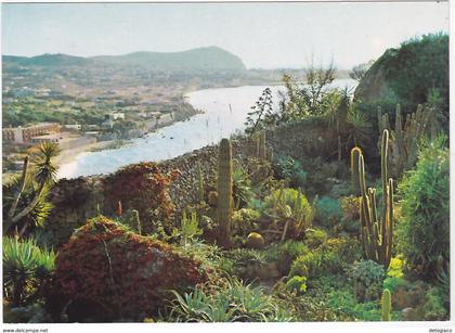 FORIO D'ISCHIA - NAPOLI - PANORAMA E GIARDINO ESOTICO -57745-