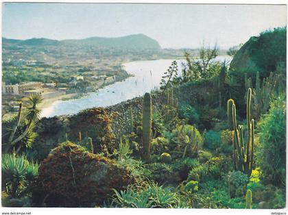 FORIO D'ISCHIA - NAPOLI - PANORAMA E GIARDINO ESOTICO - VIAGG. -50338-