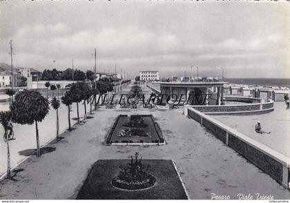 PESARO: Viale Trieste    1953