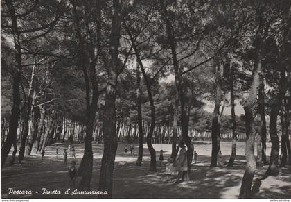 PESCARA - Pineta d'Annunziana