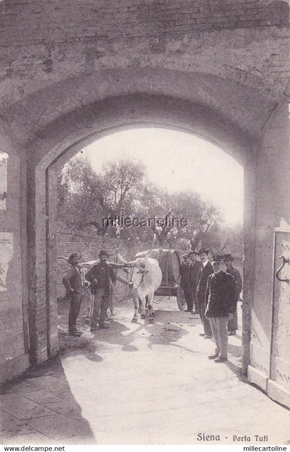 * SIENA - Porta Tufi