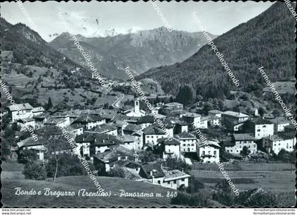bm199 cartolina bondo e breguzzo panorama provincia di trento