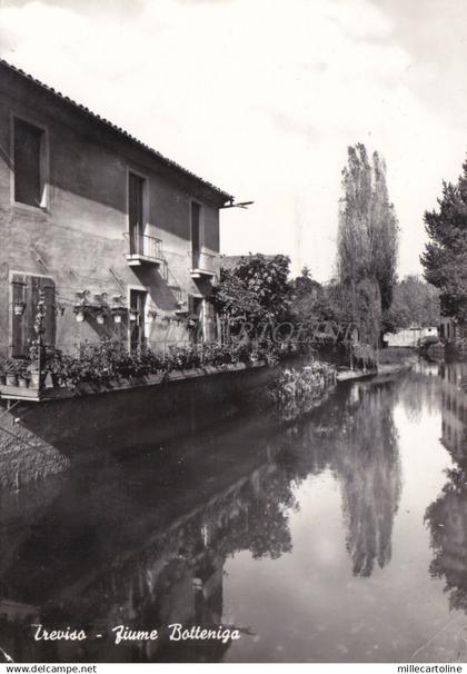 TREVISO - Fiume Botteniga 1961