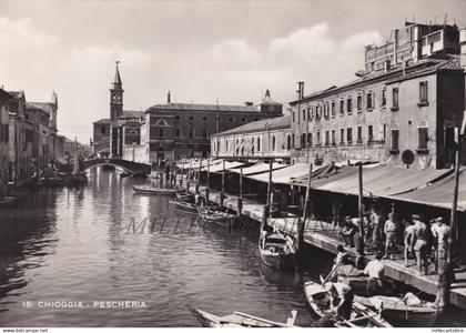 CHIOGGIA: Pescheria