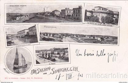 * SENIGALLIA - Panorami 1901