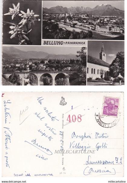 BELLUNO - Panoramica    1962