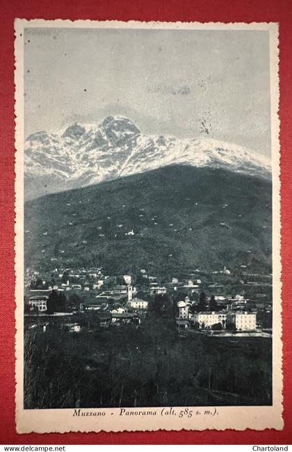 Cartolina - Muzzano - Panorama - 1933