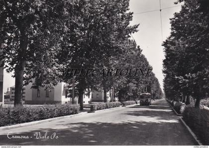 CREMONA:  Viale Po