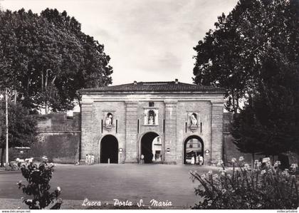 #LUCCA: PORTA S. MARIA