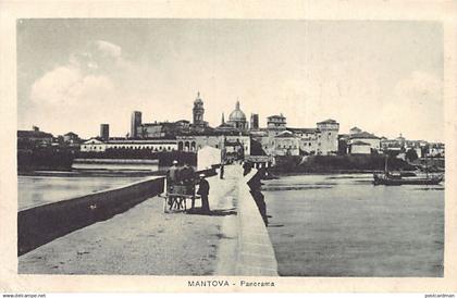 MANTOVA - Panorama