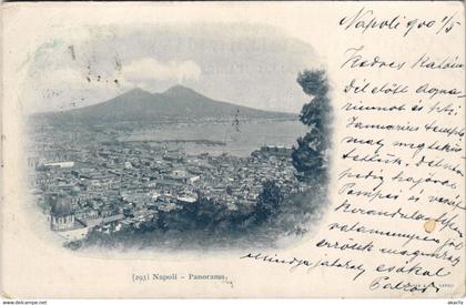 CPA NAPOLI Panorama CAMPANIA ITALY (809473)