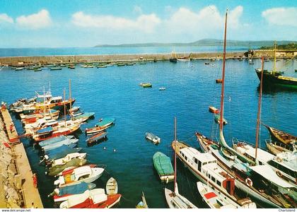 Cartolina - Torre del Greco - Porto - 1970