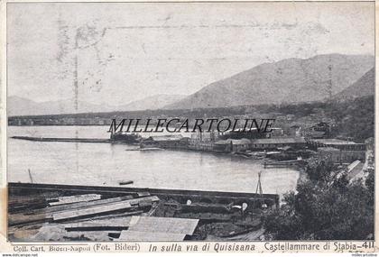 CASTELLAMMARE DI STABIA:  sulla via di Quisisana  1904