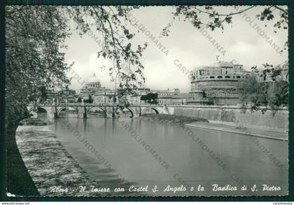 Roma Città Castel Sant'Angelo Foto FG cartolina KV8474