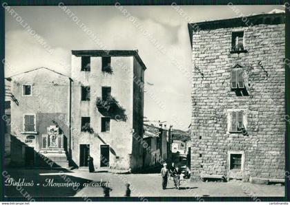 Sassari Olbia Buddusò Foto FG cartolina ZKM7980