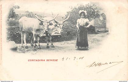 SIENA - Contadina Senese