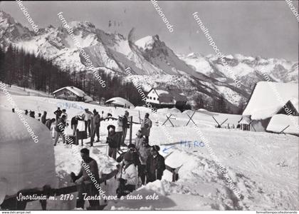 ah799 cartolina sportinia tanta neve e tanto sole torino piemonte