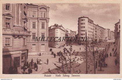 TRIESTE: Viale Sidney Sonnino   1937