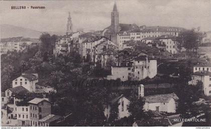 BELLUNO: PANORAMA