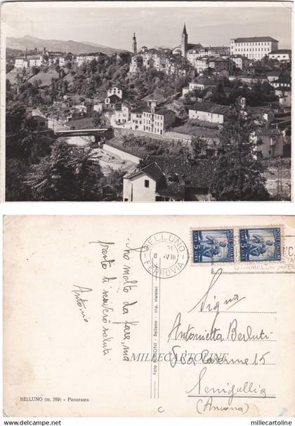 BELLUNO: Panorama   1950