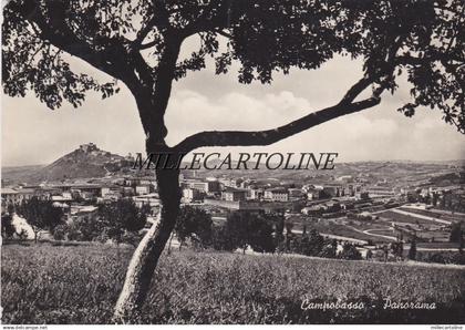 CAMPOBASSO: Panorama    1948