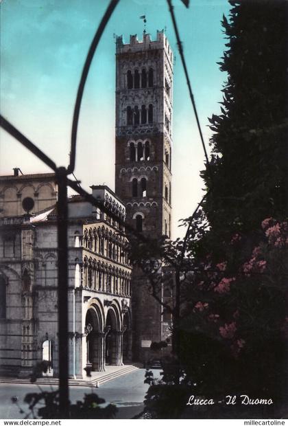 #LUCCA: IL DUOMO