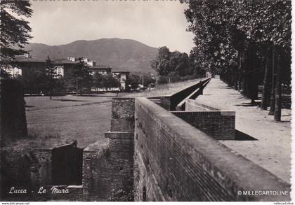 # LUCCA: LE MURA