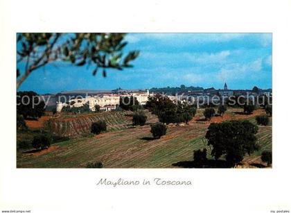 73102431 Magliano Toscana  Magliano Toscana